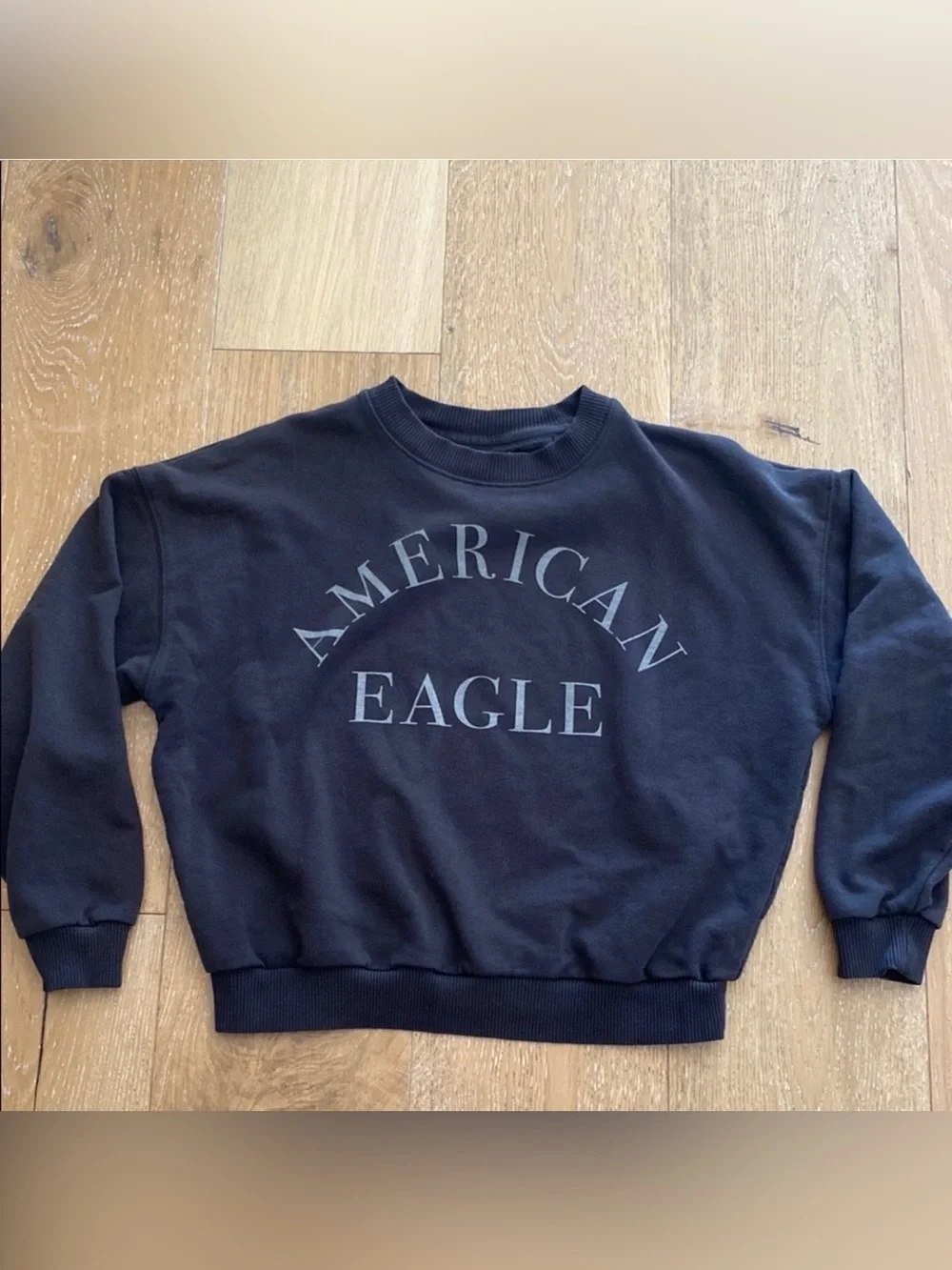 American Eagle Funday Sweatshirt (Small) - Picture 1 of 10